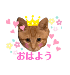 ポパイ＊りつ＊すずめ（個別スタンプ：19）