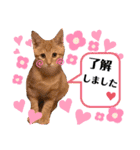 ポパイ＊りつ＊すずめ（個別スタンプ：23）