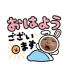 琴スタンプ1（個別スタンプ：10）