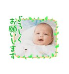 琴スタンプ1（個別スタンプ：19）