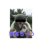 にゃぁのあんこさん（個別スタンプ：5）
