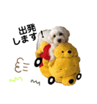 ぷぅたろうとたまにどこっち（個別スタンプ：11）