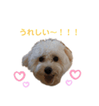 ぷぅたろうとたまにどこっち（個別スタンプ：22）
