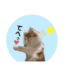 ぷぅたろうとたまにどこっち（個別スタンプ：23）