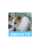 うさぎのmochaちゃん（個別スタンプ：2）