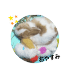うさぎのmochaちゃん（個別スタンプ：4）