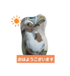 うさぎのmochaちゃん（個別スタンプ：5）