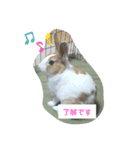 うさぎのmochaちゃん（個別スタンプ：6）