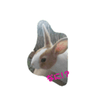 うさぎのmochaちゃん（個別スタンプ：8）