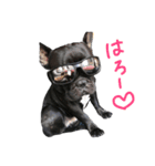 BUZZくんスタンプ（個別スタンプ：3）