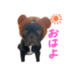 BUZZくんスタンプ（個別スタンプ：23）
