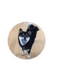 毎日うにちゃん！（個別スタンプ：14）