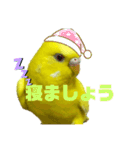 セキセイインコ(そらとゆめ)のスタンプ（個別スタンプ：27）