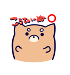 まんじゅういぬのスタンプ（個別スタンプ：5）