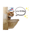 チャーの毎日（個別スタンプ：16）