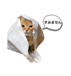 チャーの毎日（個別スタンプ：30）