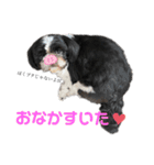 あんのんだいすき（個別スタンプ：3）