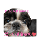 あんのんだいすき（個別スタンプ：8）