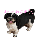 あんのんだいすき（個別スタンプ：12）
