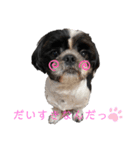 あんのんだいすき（個別スタンプ：18）