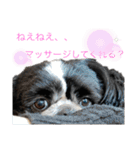 あんのんだいすき（個別スタンプ：20）