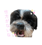 あんのんだいすき（個別スタンプ：22）