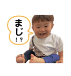 りひくん成長スタンプ（個別スタンプ：1）