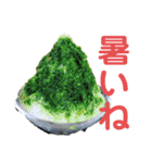 イングリッシュセター花音 No．1（個別スタンプ：5）