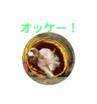 イングリッシュセター花音 No．1（個別スタンプ：13）