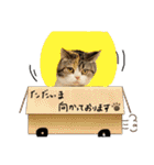 りゅうくんと仲間達（個別スタンプ：2）