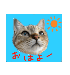 りゅうくんと仲間達（個別スタンプ：4）