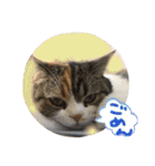 りゅうくんと仲間達（個別スタンプ：6）
