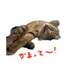 りゅうくんと仲間達（個別スタンプ：7）