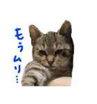 りゅうくんと仲間達（個別スタンプ：18）