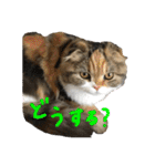りゅうくんと仲間達（個別スタンプ：20）
