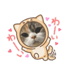 りゅうくんと仲間達（個別スタンプ：37）