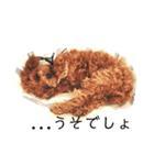 トイプー＆チワワ//犬の挨拶スタンプ（個別スタンプ：11）