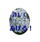 アジサイ(花のスタンプ②)（個別スタンプ：9）