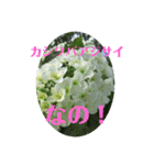 アジサイ(花のスタンプ②)（個別スタンプ：20）