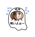 どうぞ〜17（個別スタンプ：38）