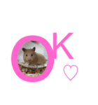 あ ん こ も ち ♡（個別スタンプ：7）