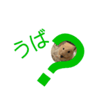 あ ん こ も ち ♡（個別スタンプ：20）