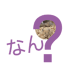 あ ん こ も ち ♡（個別スタンプ：22）