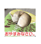 エミプクの日常+（個別スタンプ：2）