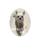 エミプクの日常+（個別スタンプ：5）