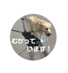 エミプクの日常+（個別スタンプ：7）