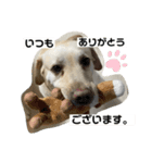 エミプクの日常+（個別スタンプ：13）