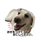 エミプクの日常+（個別スタンプ：14）