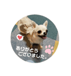 エミプクの日常+（個別スタンプ：15）
