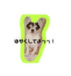 りさりさ'sぺっと2（個別スタンプ：1）